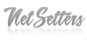 net_setters-logo2